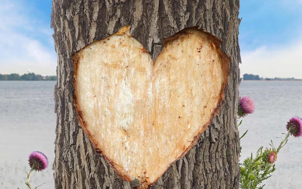 Loved to Death: Park Managers Balance Conservation With Crowds