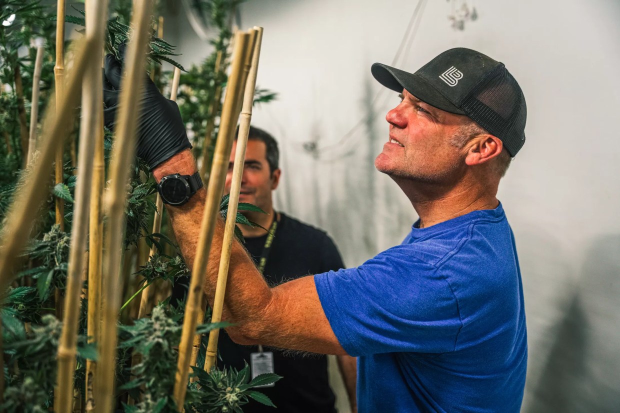 Why a Craft-Beer Pioneer Joined the Cannabis Industry