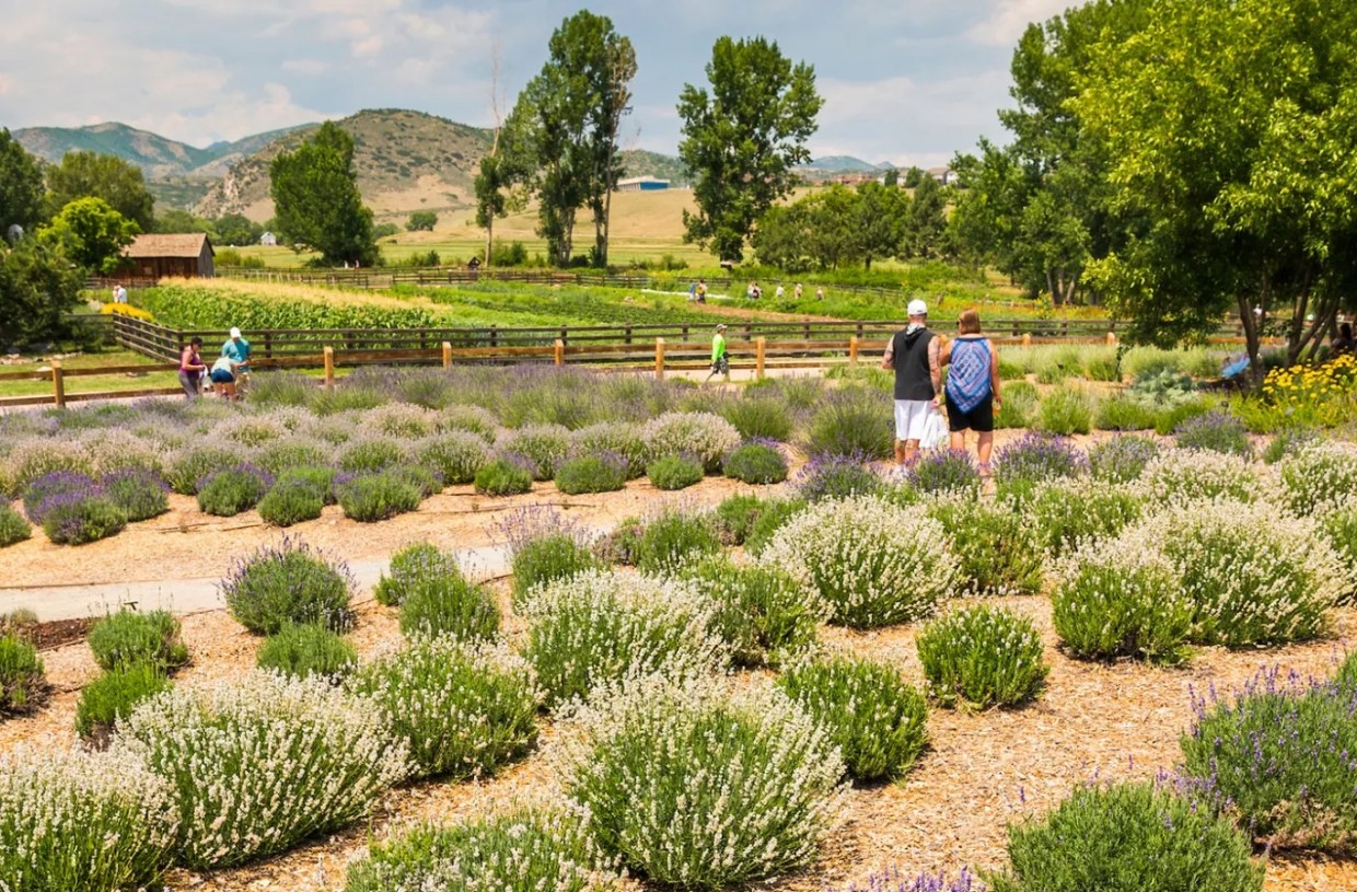 Ten More Things To Do in and Around Denver This Weekend