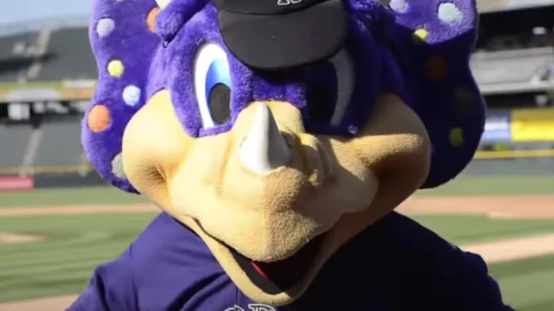 Blame Dinger for Dumbest Racial Slur Controversy Ever