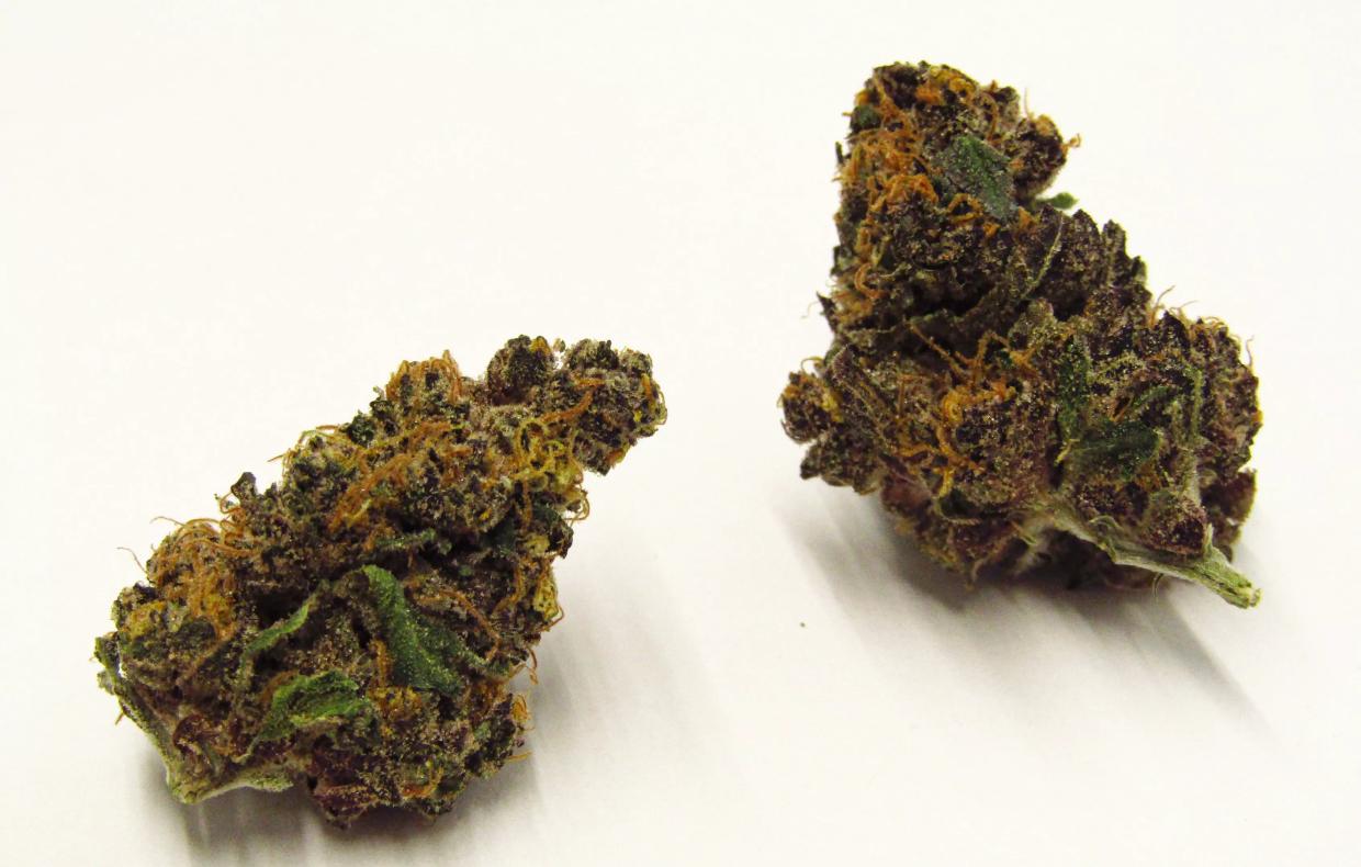Why Colorado Tokers Love Dragon Fruit