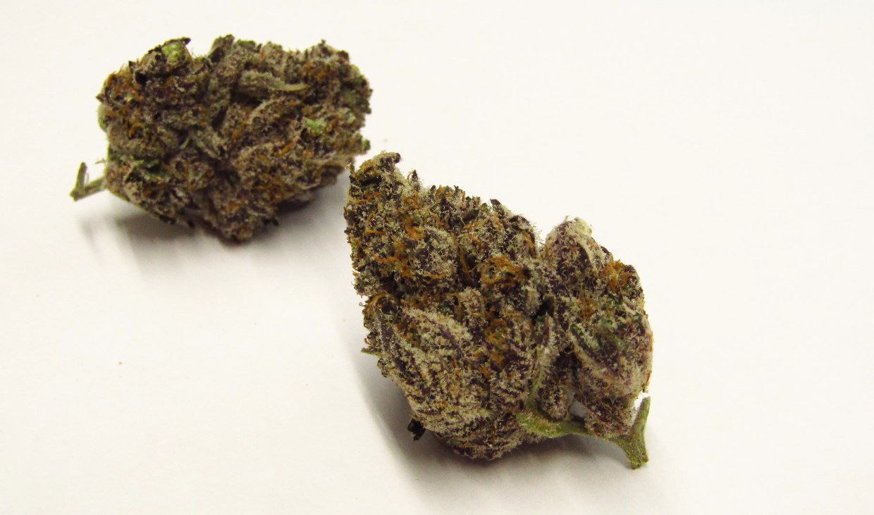 Why Colorado Tokers Love Sweat Helmet