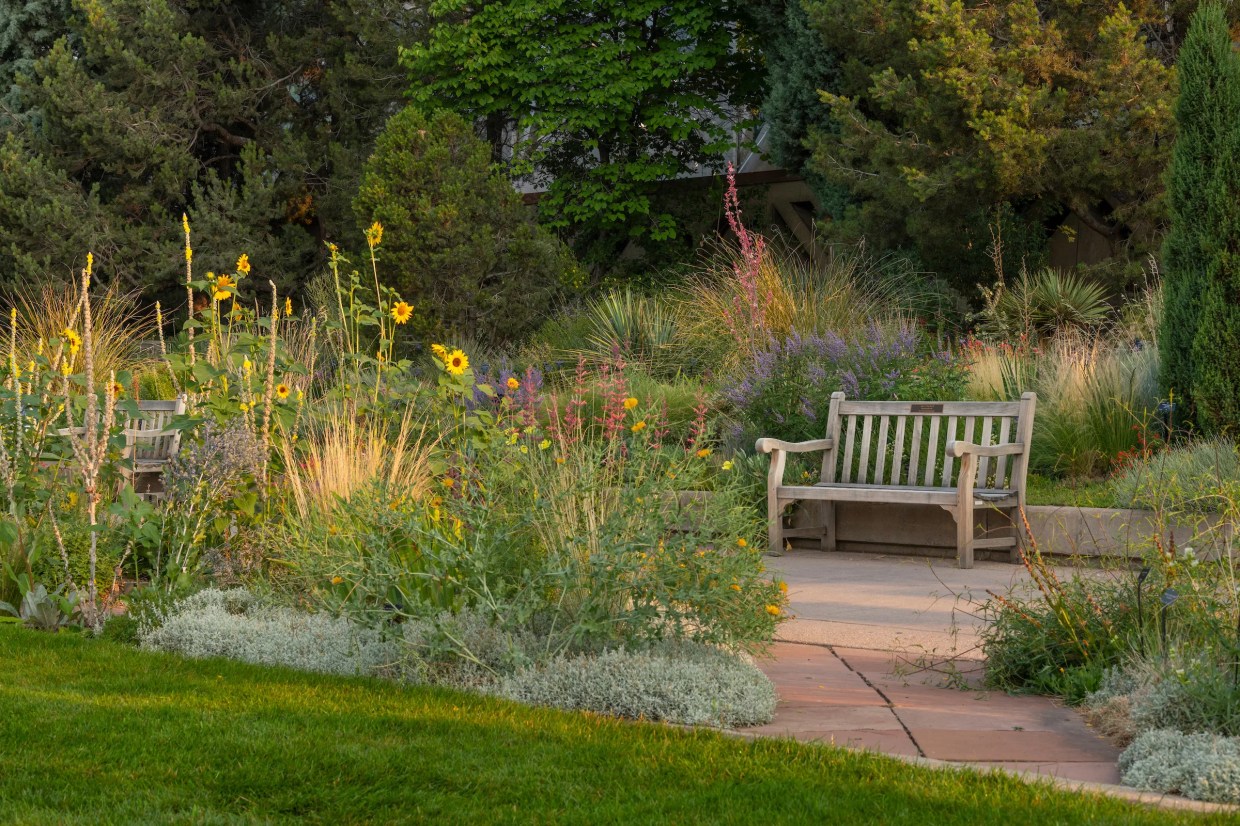 Forty Years Ago, Xeriscaping Started Changing the Landscape of Denver