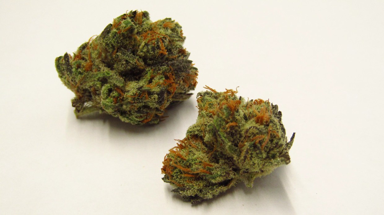 Why Colorado Tokers Love Burkle