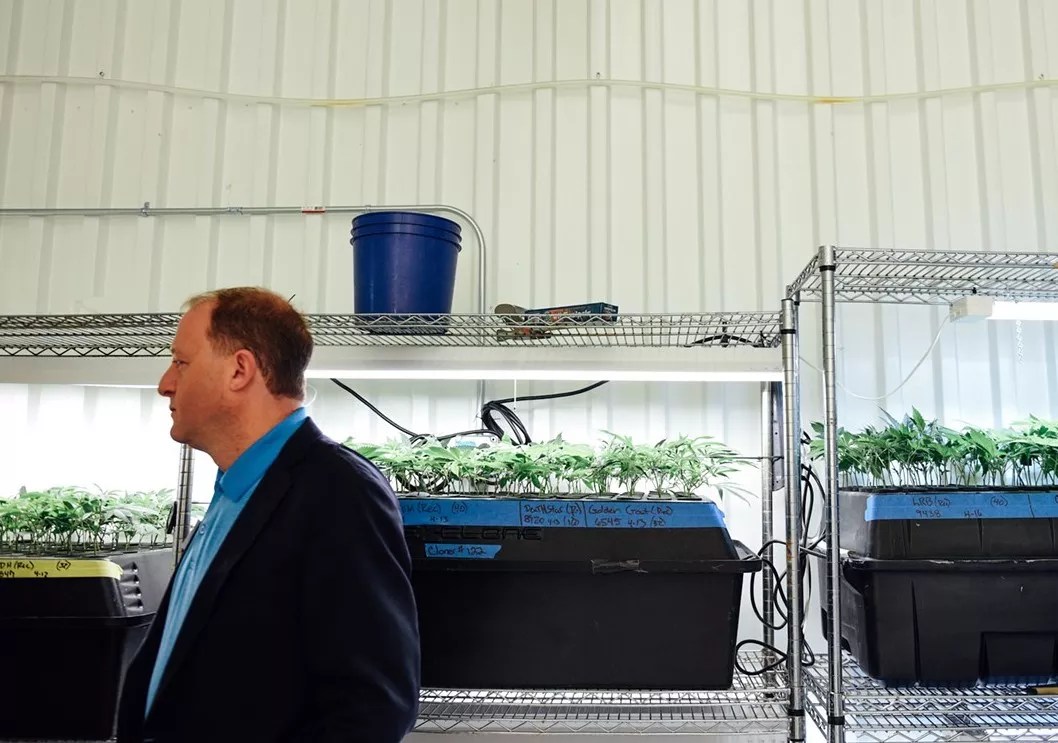 Jared Polis Talks Marijuana Tax Cuts, Hikes and More