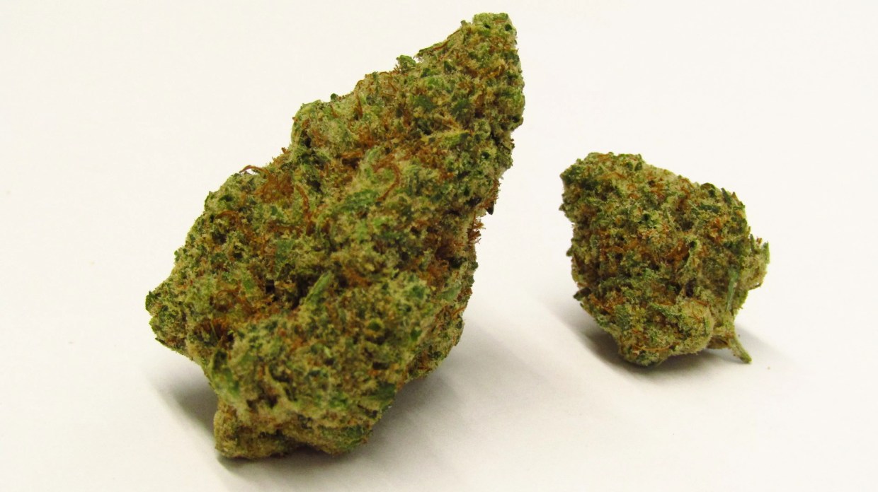 Why Colorado Tokers Love Lemon Cake