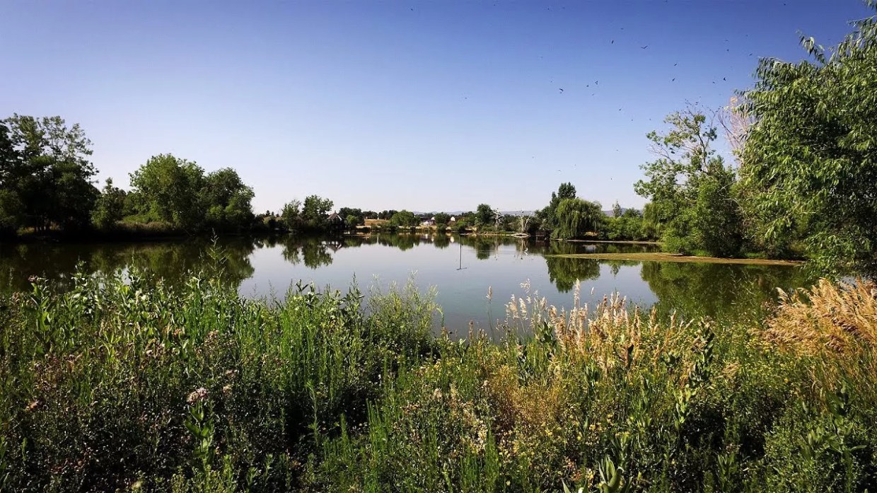 Lakewood Repeals Controversial Citizen Open Space Initiative With New Law