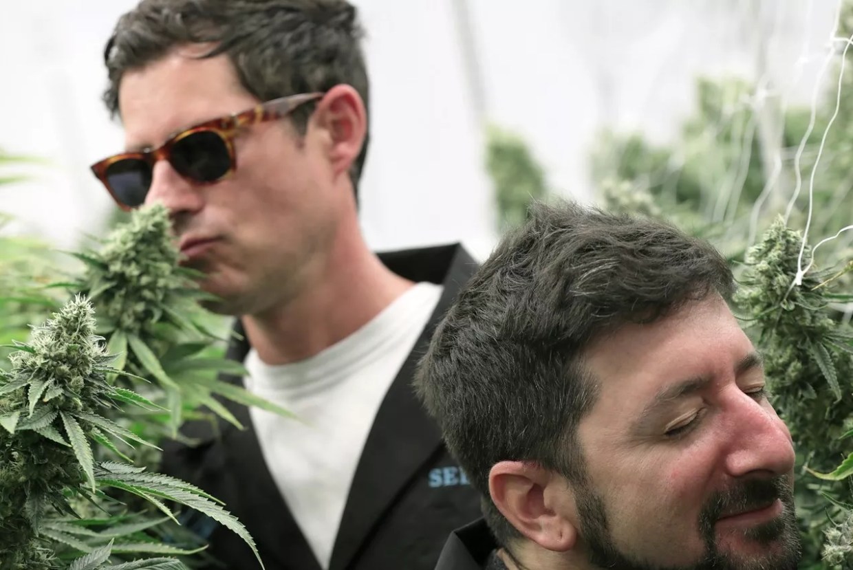 Big Gigantic, Colorado Marijuana Brand Join Forces for Charity