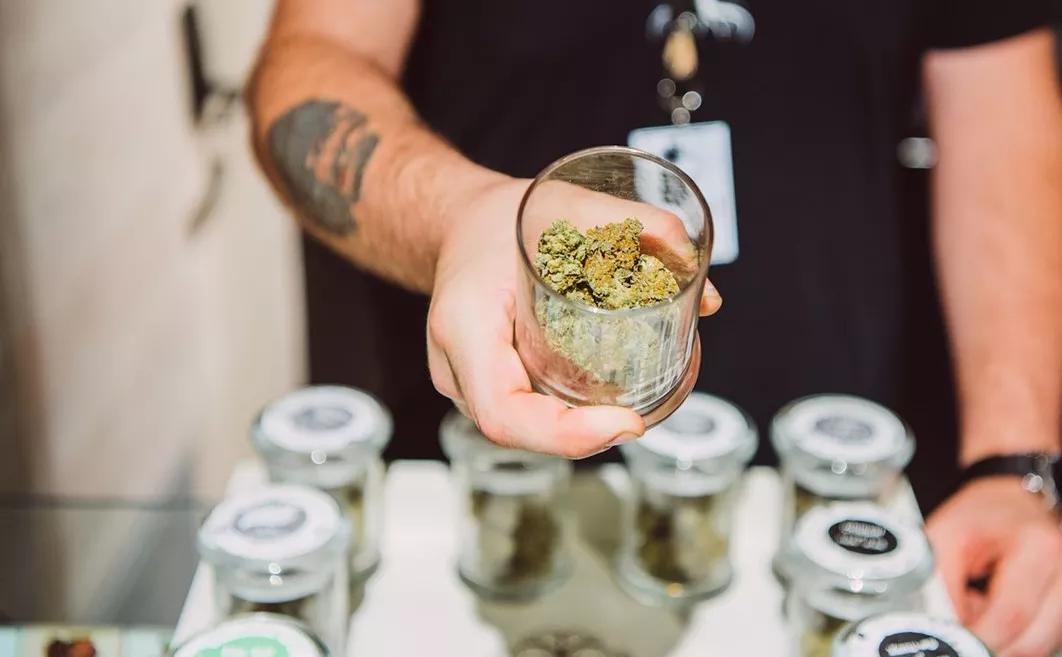 Denver Marijuana Seizures Down, Tax Revenue Up From 2014 to 2020