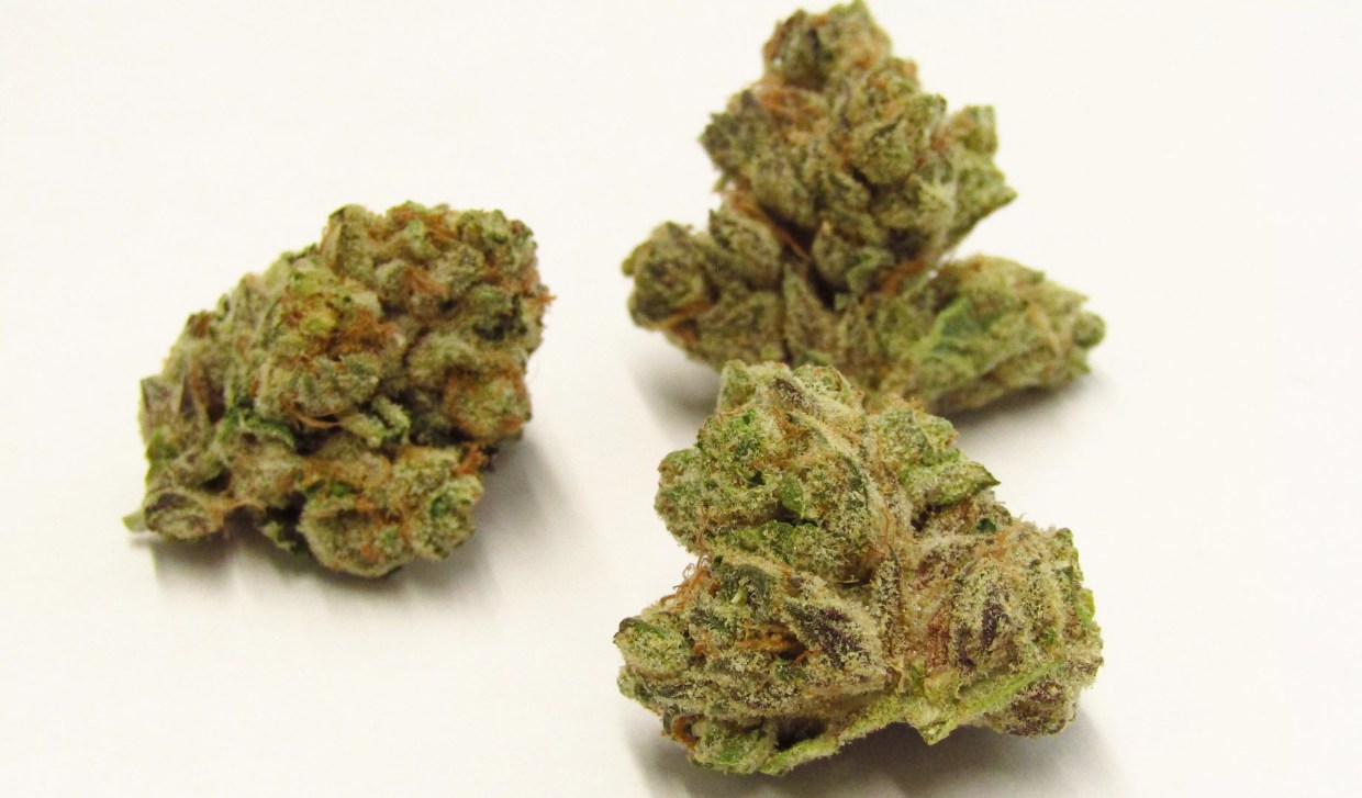 Why Colorado Tokers Love Big Bubba Diesel