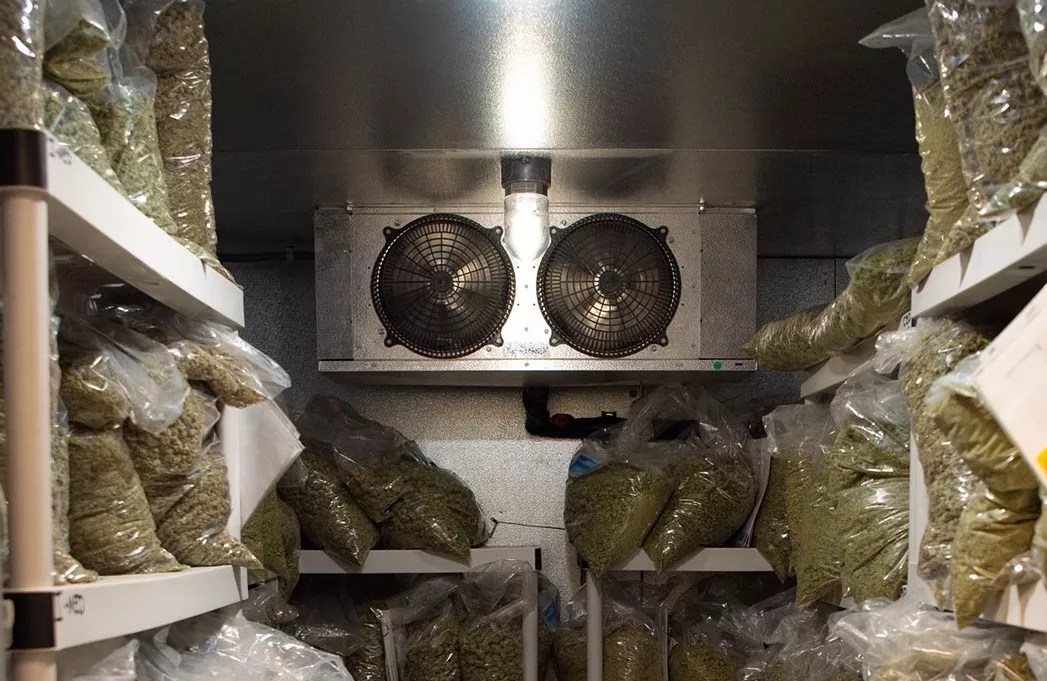 Denver Adopts New Marijuana Storage Rules to Cut Dispensary Theft