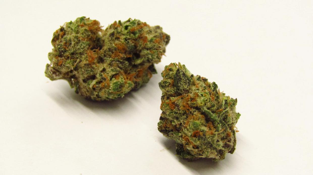 Why Colorado Tokers Love Waiting Game