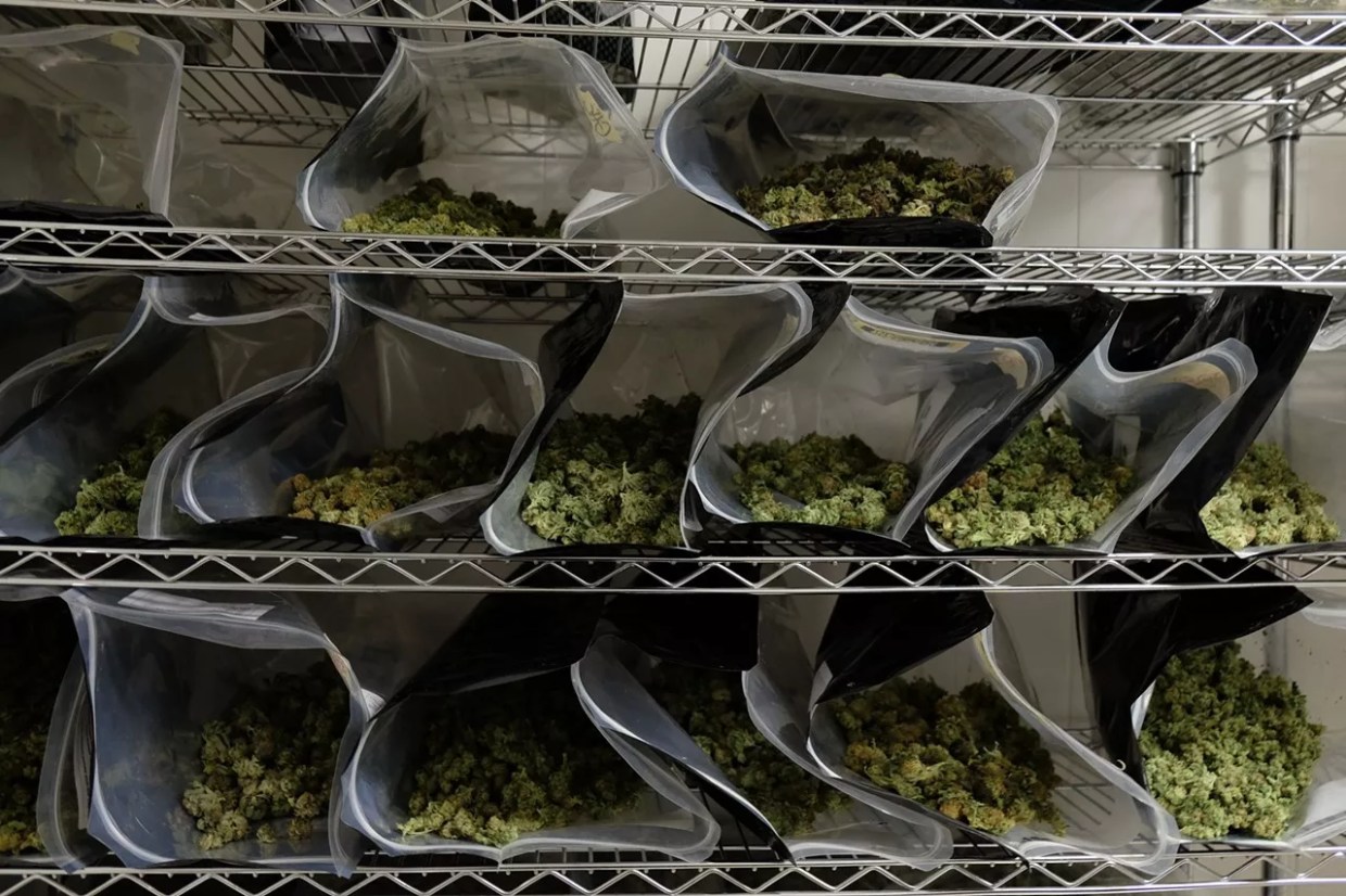 Why It Can Take Months for the State to Recall Flagged Marijuana