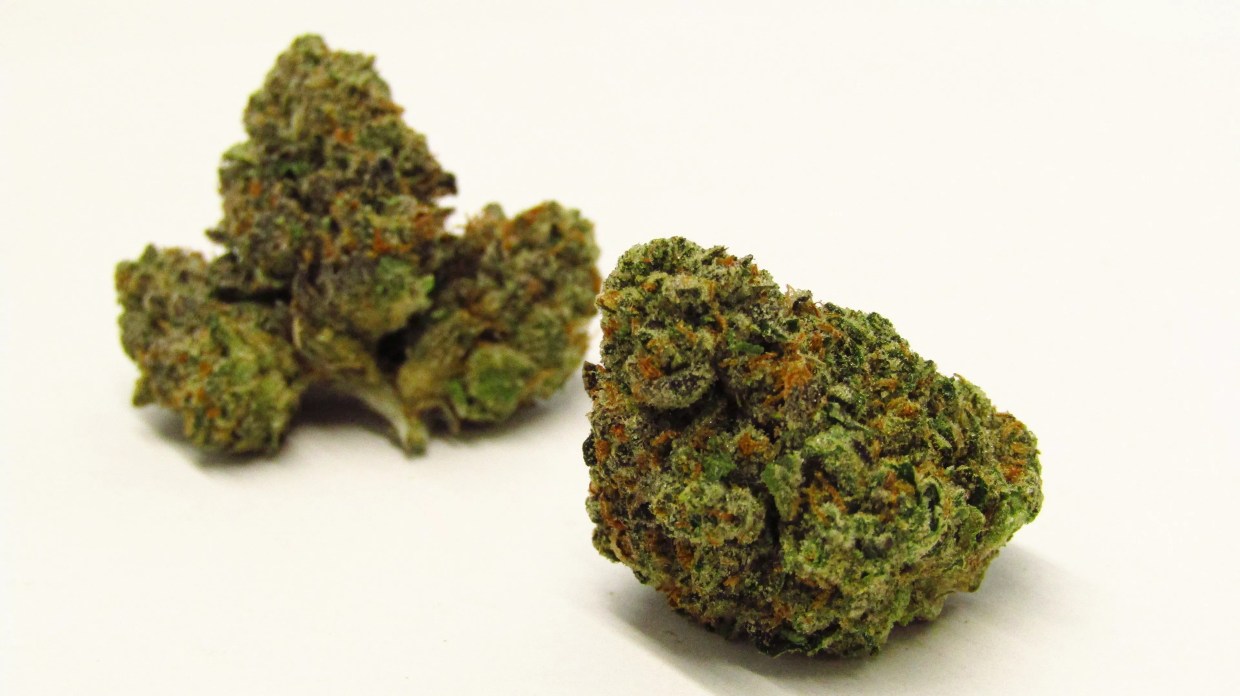 The Ten Best Colorado Cannabis Strains of 2021