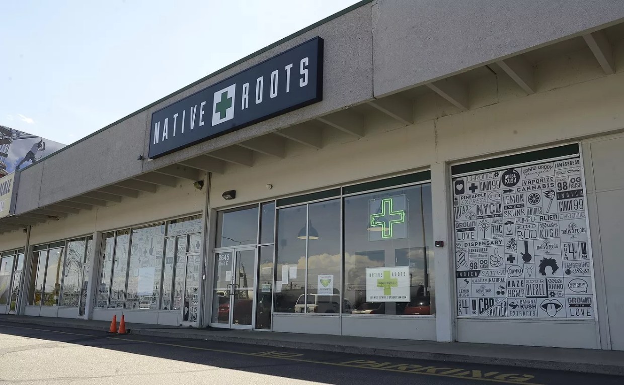 Reader: Big Dispensary Chains Are the Walmarts of Weed