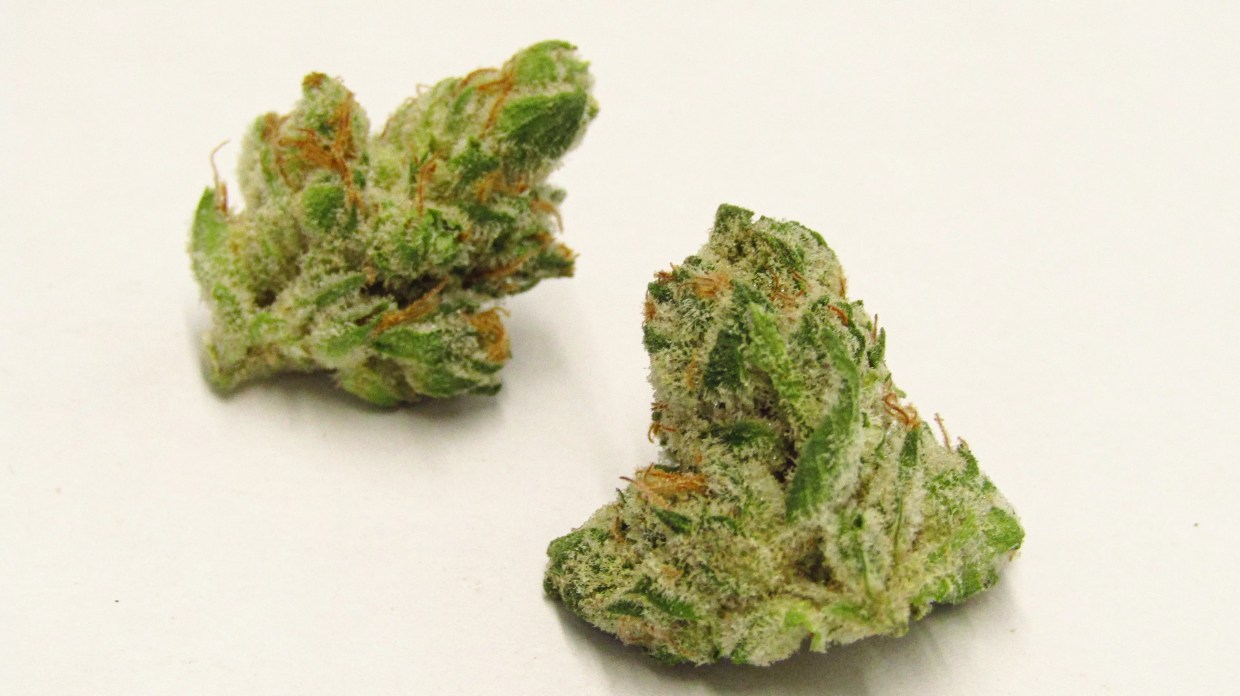 Why Colorado Tokers Love Malbec