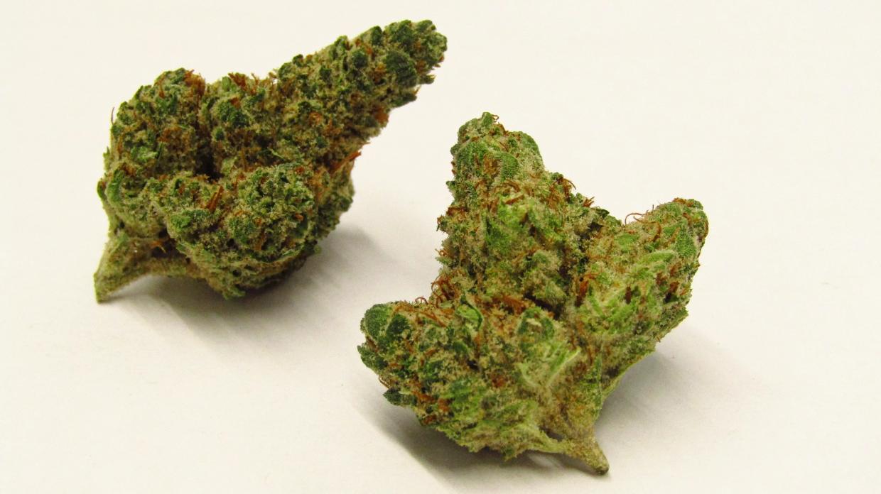 Why Colorado Tokers Love Pippa