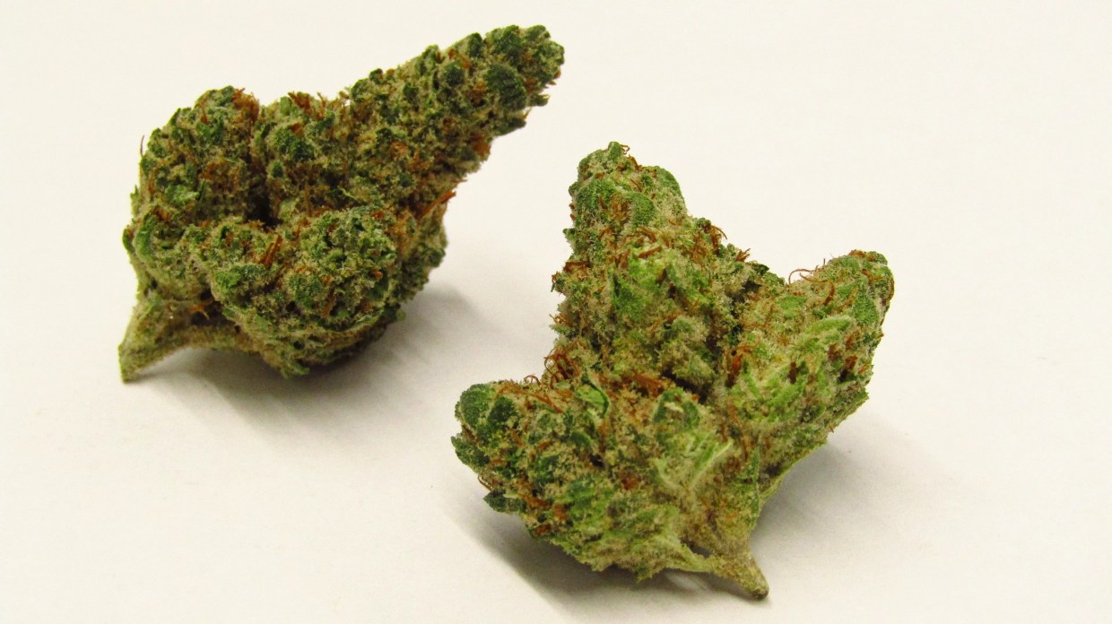 Why Colorado Tokers Love Pippa