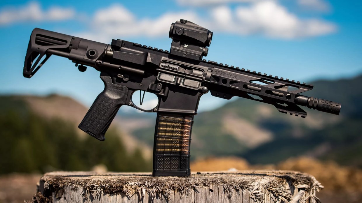 How Many Colorado Gun Protection Orders Were Actually Granted