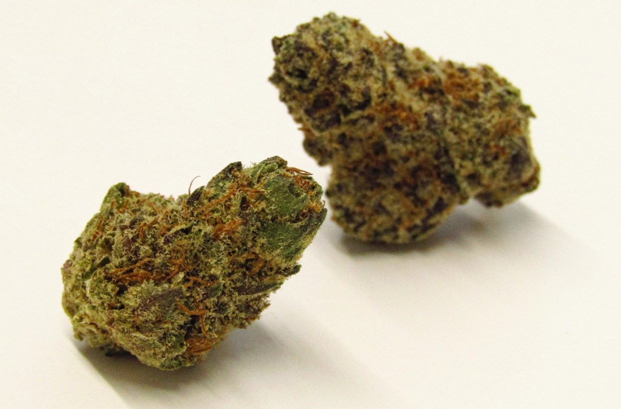 Why Colorado Tokers Love Lemon Freeze Pop