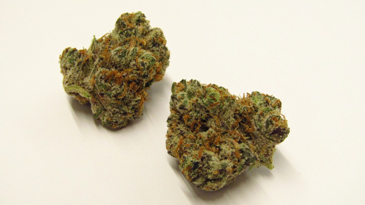 Why Colorado Tokers Love Slap n’ Tickle