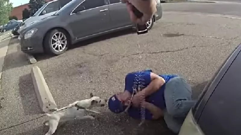 Dad Tased, Family Dog Choked: Latest Claims Against Loveland Police