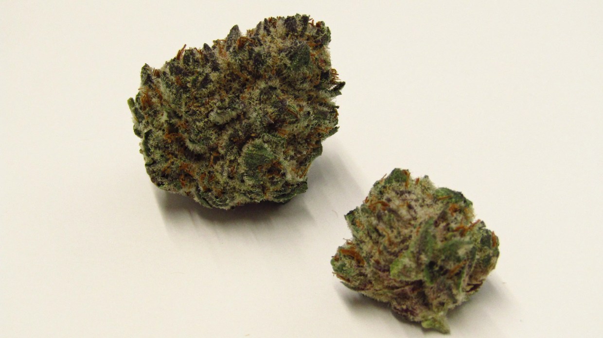 Why Colorado Tokers Love Greasy Grapes