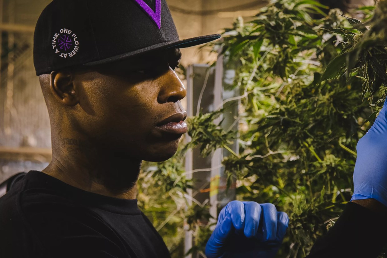 As Celebrity Weed Brands Come and Go, Al Harrington Builds a Winner