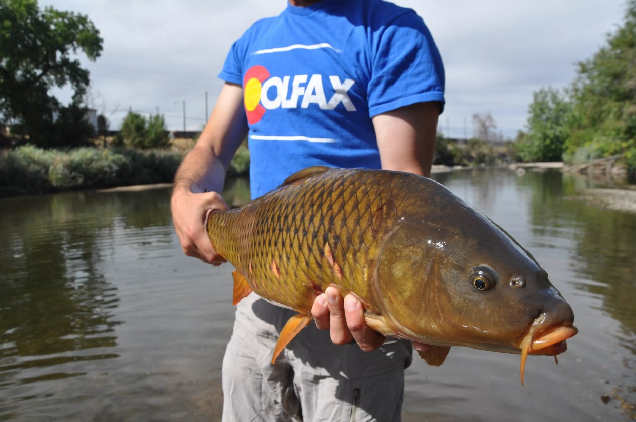 Anglers and Environmentalists Are Fishing for Restored Protections for South Platte