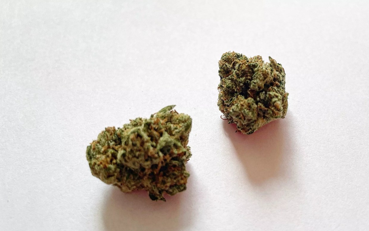 Why Colorado Tokers Love 92 OG