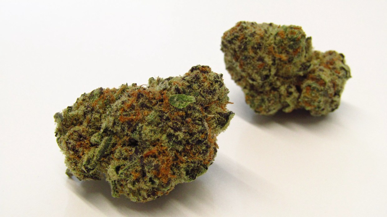 Why Colorado Tokers Love Sugar Cane