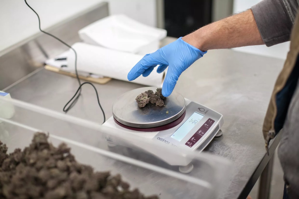 New Marijuana Business Rules Take Effect, With “Use-By Dates” on the Horizon