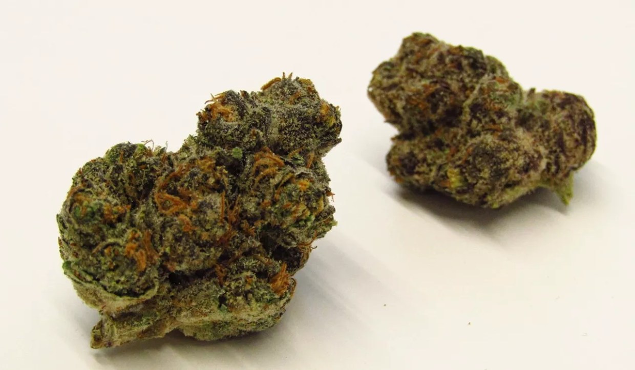 High Notes: Five Goodies Worth Finding at Colorado Dispensaries