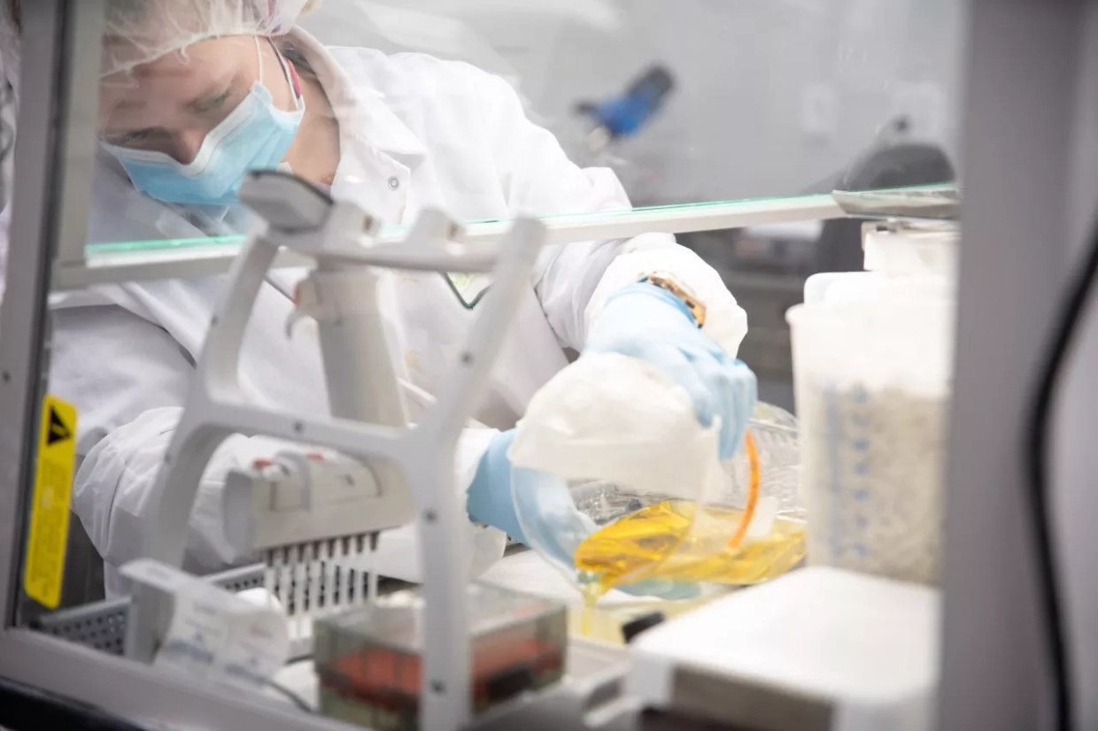 Congress Passed a Marijuana Research Bill, but This Colorado Lab Has Already Started