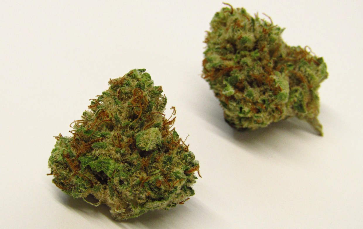 Why Colorado Tokers Love Grandpa’s Stash