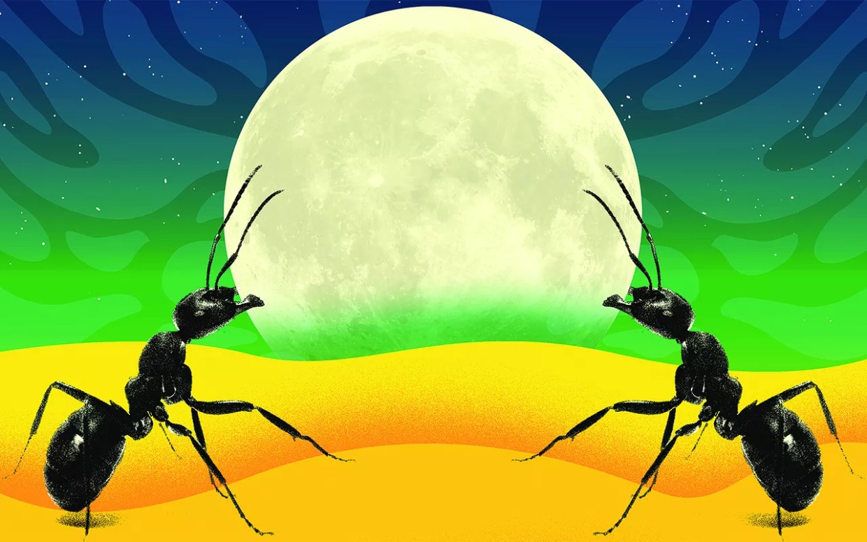 What a Long, Strange Trip It’s Been to Jacob Lemanski’s Ant Life Gallery