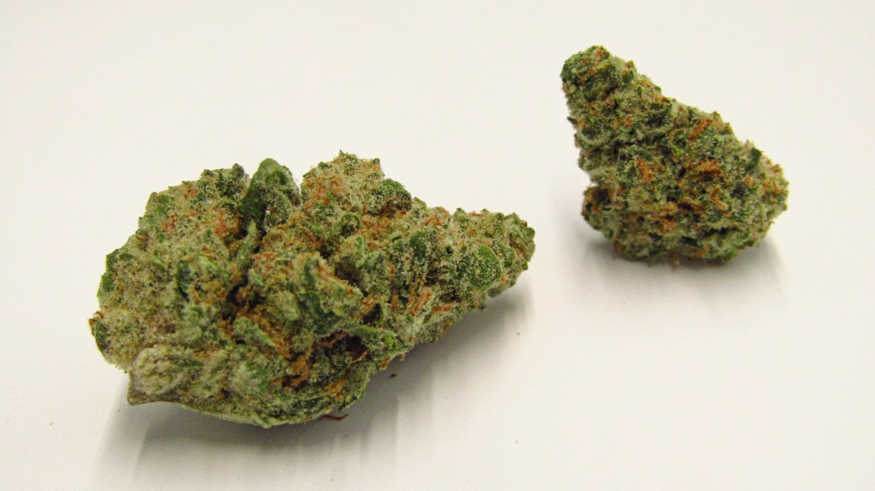 Why Colorado Tokers Love Tally Mon