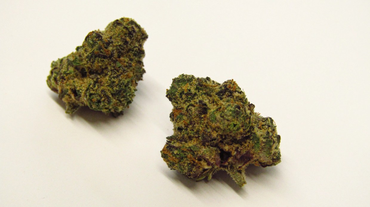 Why Colorado Tokers Love Sprinklez