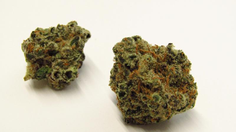 Donny Burger cannabis strain