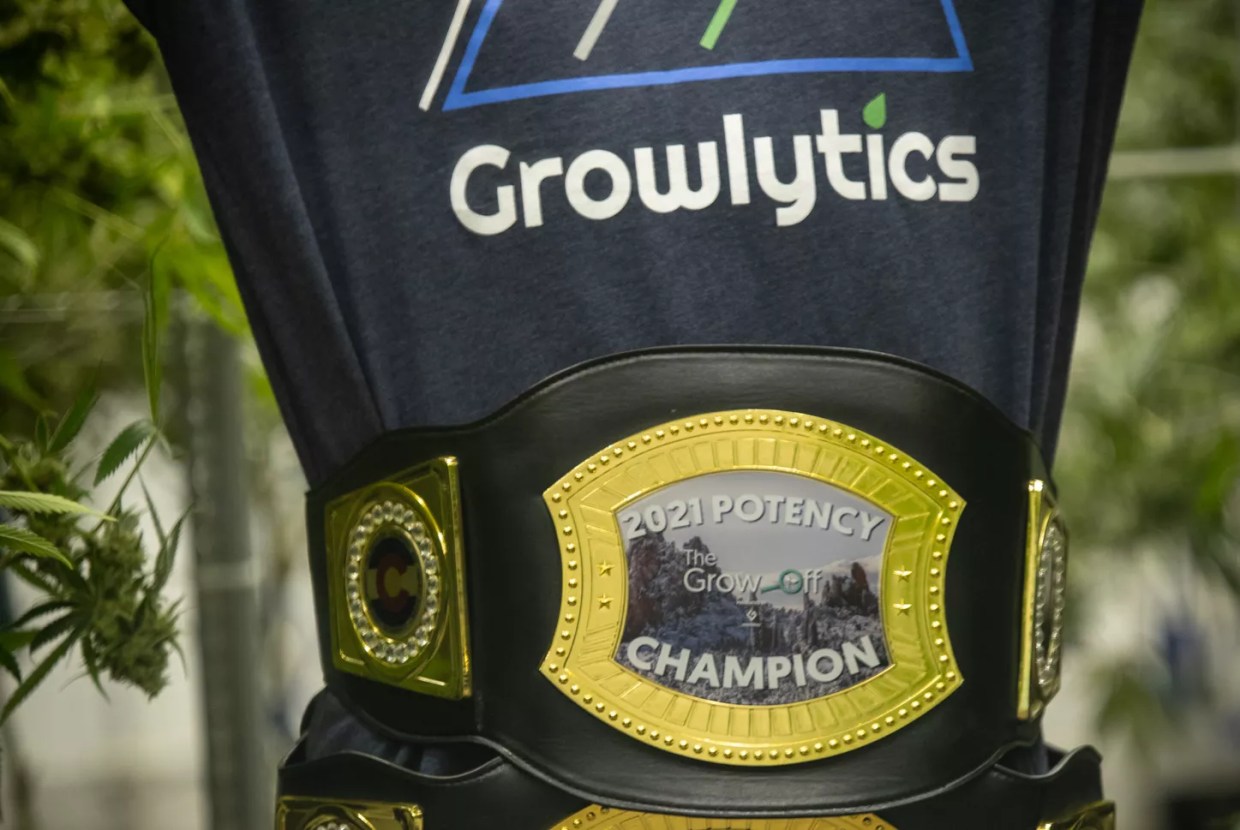 After Winning Cannabis Awards in the Shadows, Growlytics Is Ready to Shine