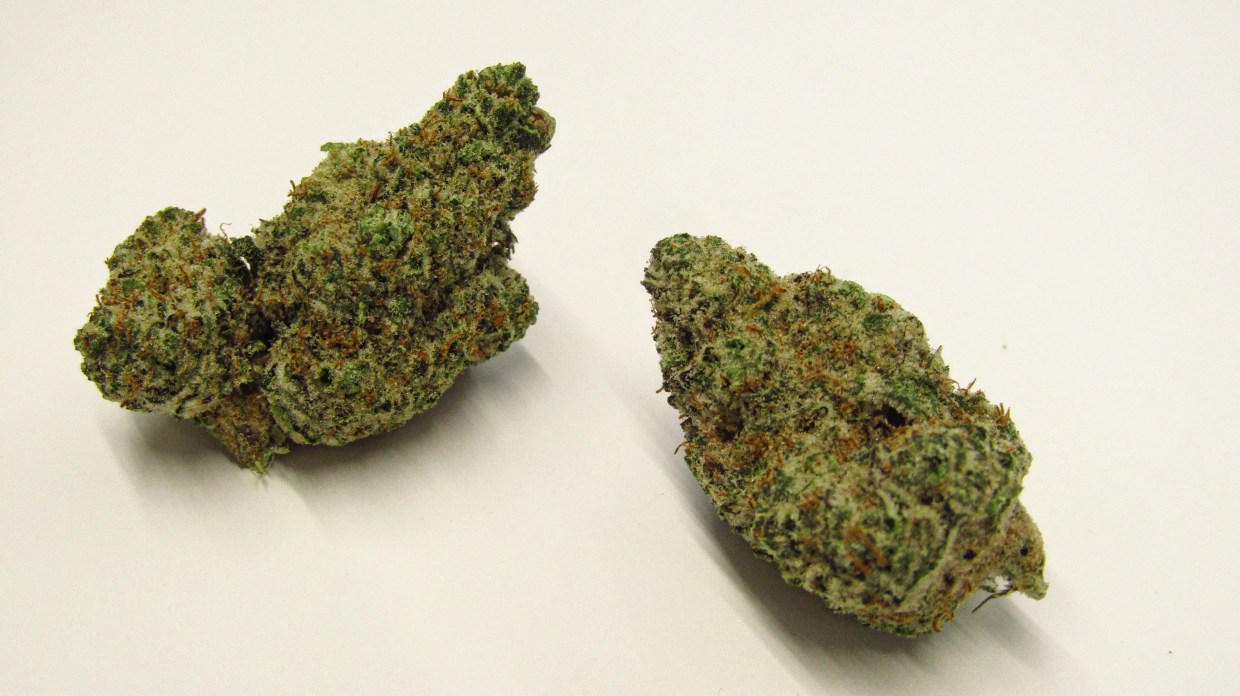 Why Colorado Tokers Love Grape Cream Cake