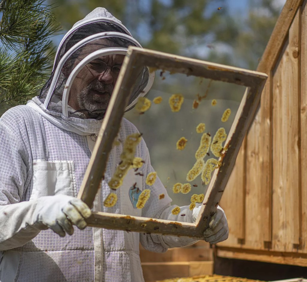 charlie peterson bee hive