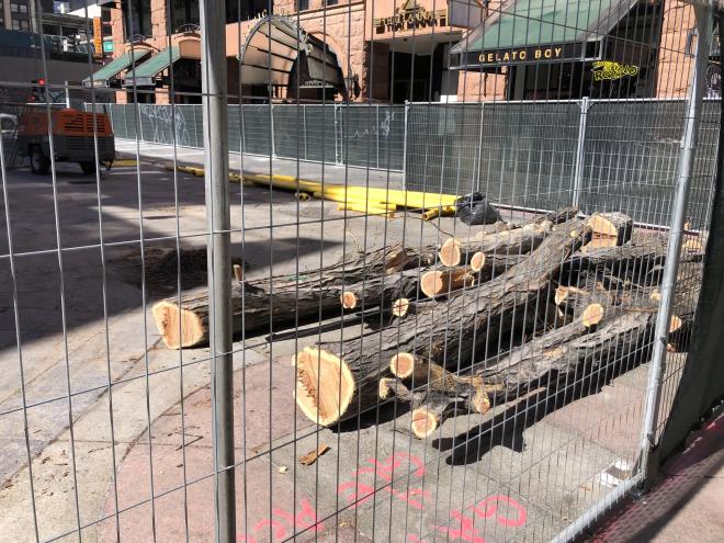 Wood from an old 16th Street locust tree.