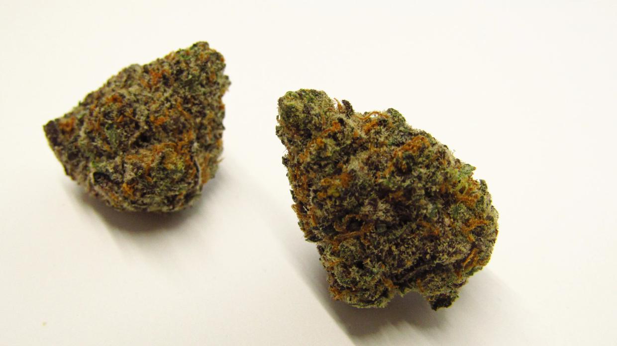 Why Colorado Tokers Love Rotten Rozay