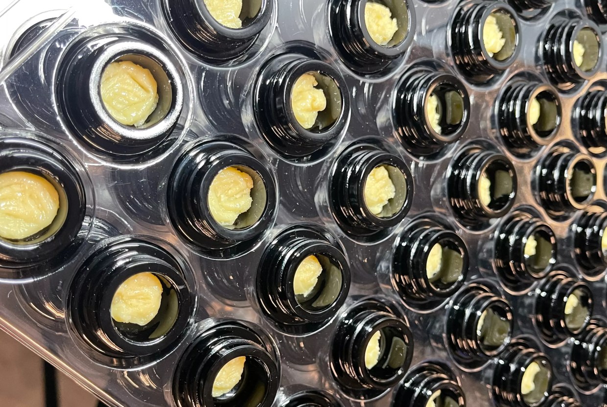 High Notes: New Rosin Wins, Return of the Sour D