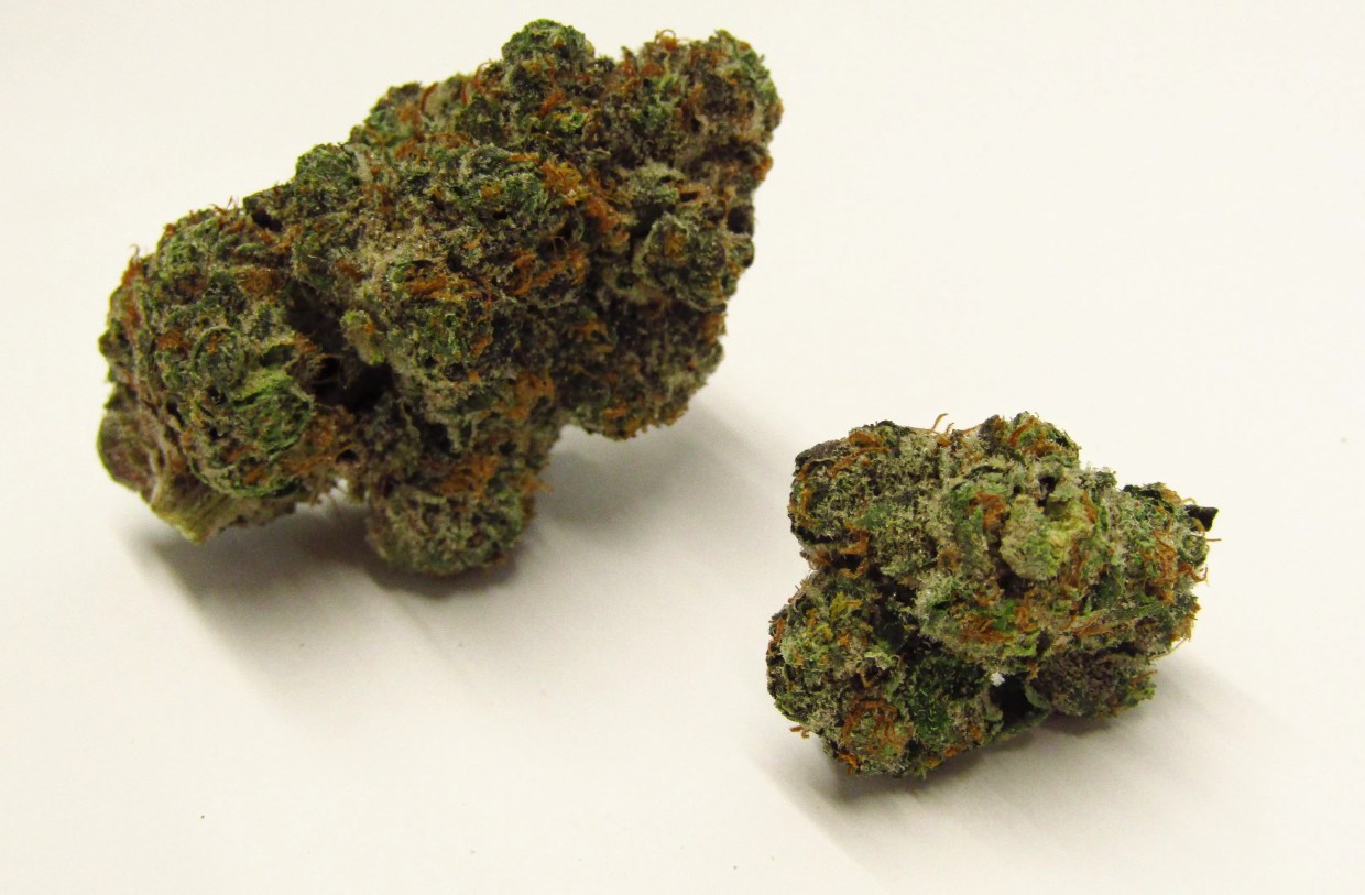 Why Colorado Tokers Love Orange Push Pop