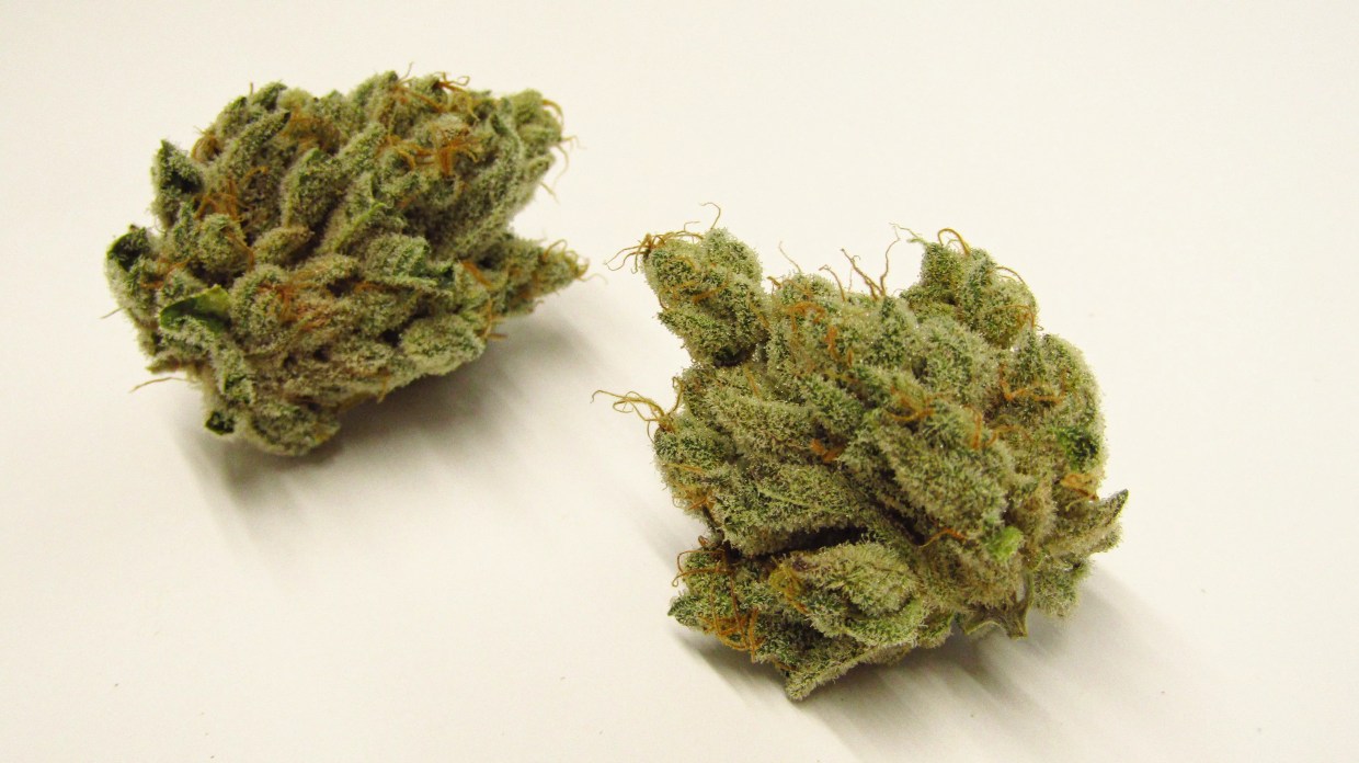 Why Colorado Tokers Love Cake Crasher