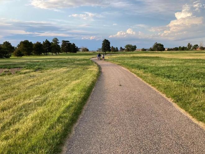 A wide rocky path between rows of long, green grass.
