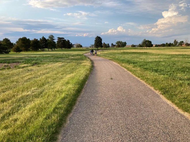 A wide rocky path between rows of long, green grass.