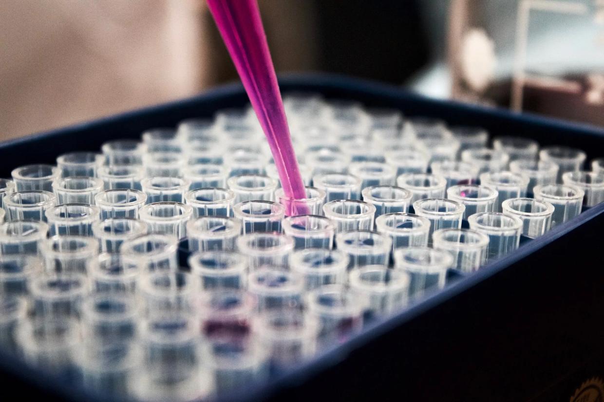 Testing lab vials